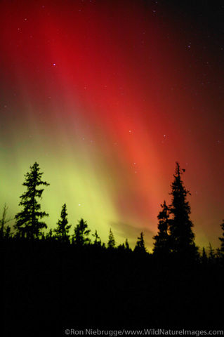 Aurora Borealis