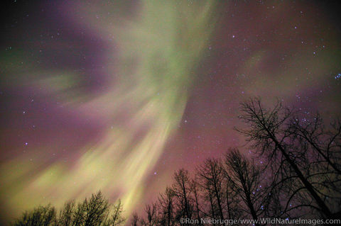 Aurora Borealis