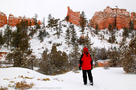 Bryce National Park