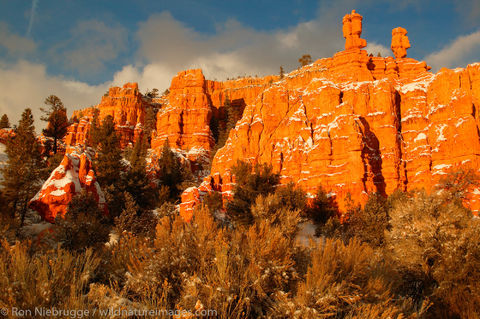 Dixie National Forest