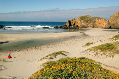 Pfeiffer Beach