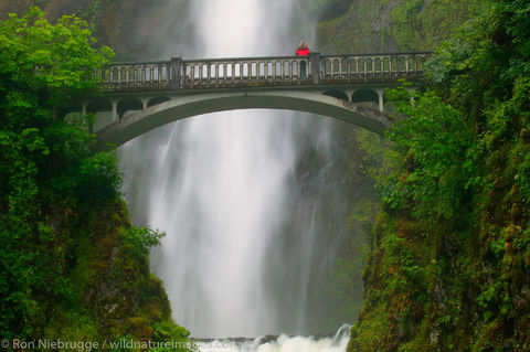 Multnomah Falls 