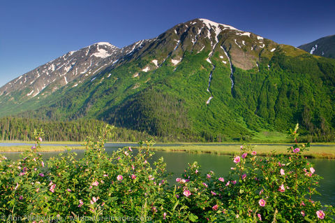 Tern Lake