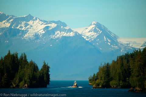 Prince William Sound