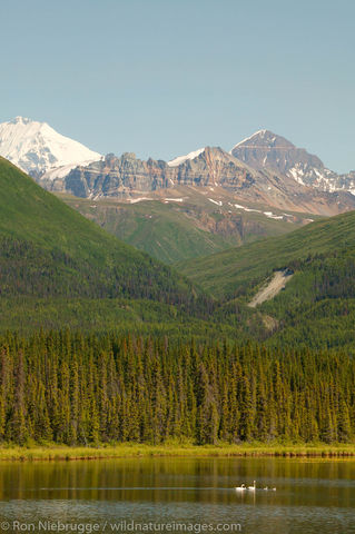 Wrangell Saint Elias