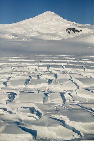 Wrangell Saint Elias