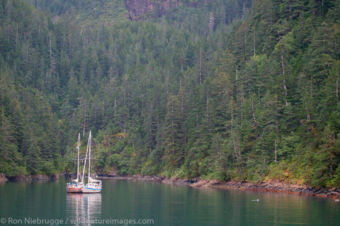 Sailboats