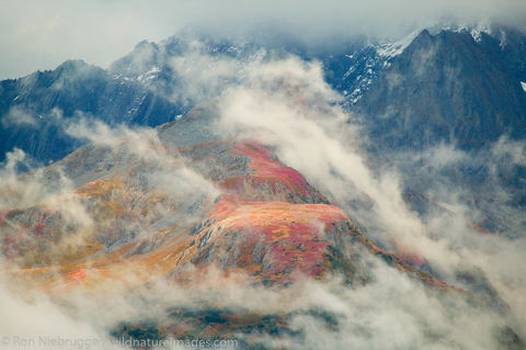 Mt Alice, Chugach National Forest, Alaska. 