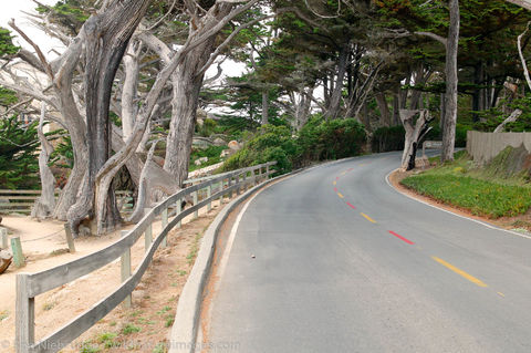 Monterey Peninsula, California