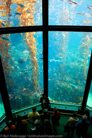 Monterey Bay Aquarium