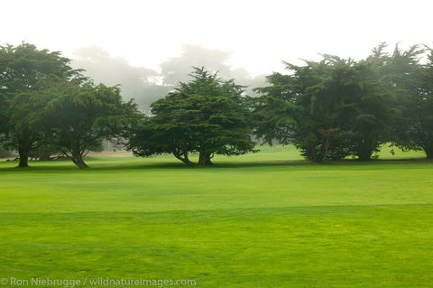 Monterey Peninsula, California