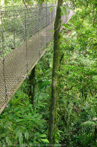 Arenal Hanging Bridges 