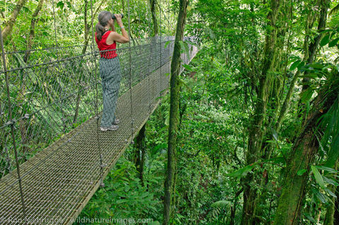 Arenal Hanging Bridges 