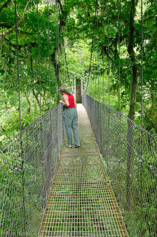 Arenal Hanging Bridges 