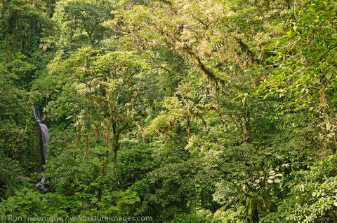 Arenal Hanging Bridges 