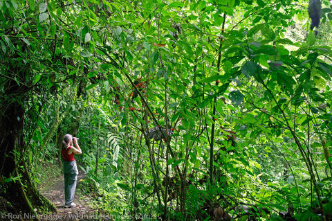 Arenal Hanging Bridges 