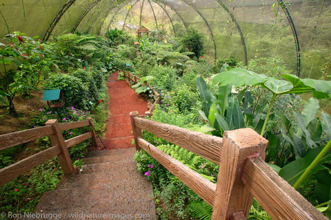 Butterfly Garden at the Peace Lodge