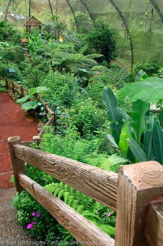 Butterfly Garden at the Peace Lodge