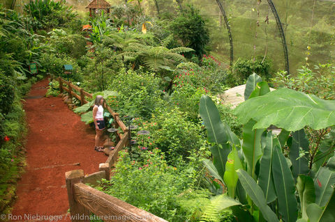 Butterfly Garden at the Peace Lodge