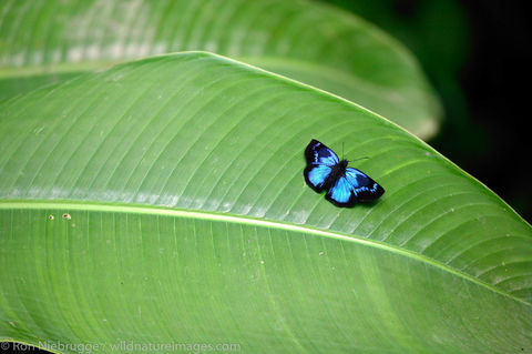 Manuel Antonio, Costa Rica