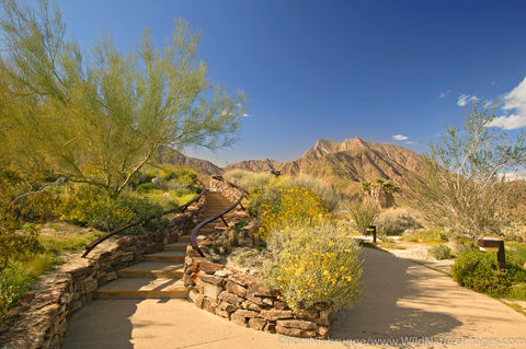 Anza Borrego Desert State Park
