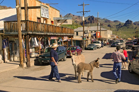 Oatman, AZ