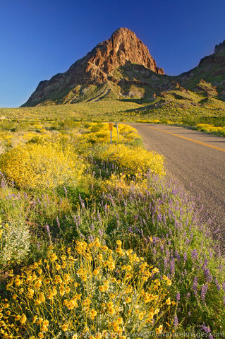 Route 66