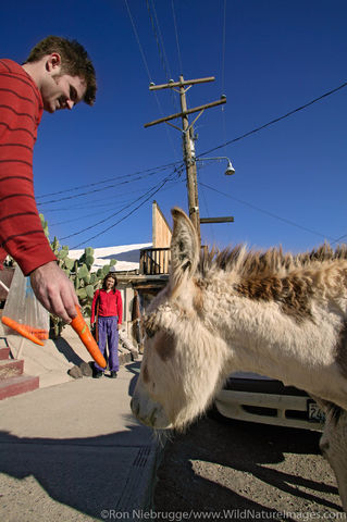 Oatman, CA