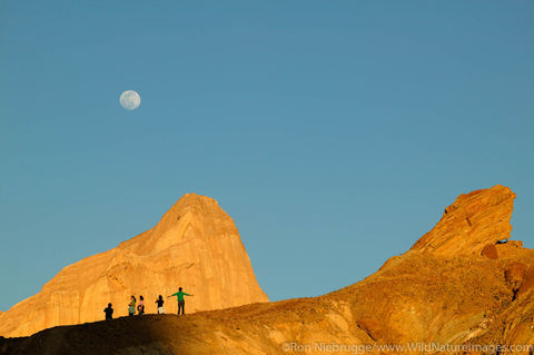 Manly Beacon