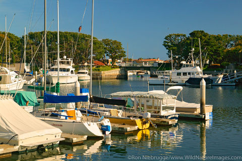 Newport Harbor