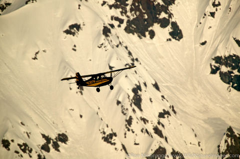Bush Plane