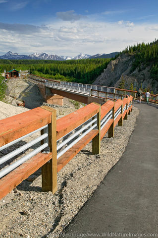 Nenana River