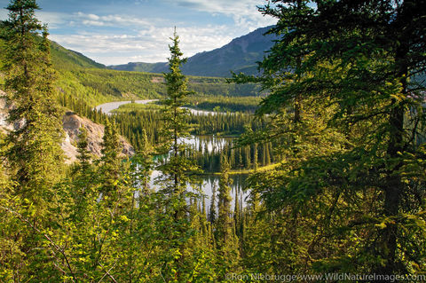 Denali National Park