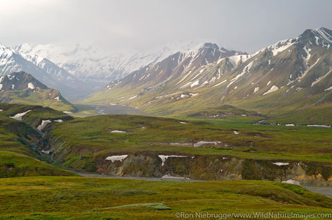 Denali National Park