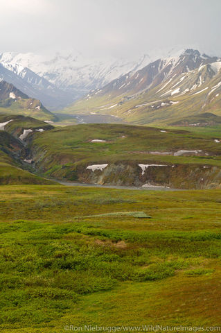 Denali National Park
