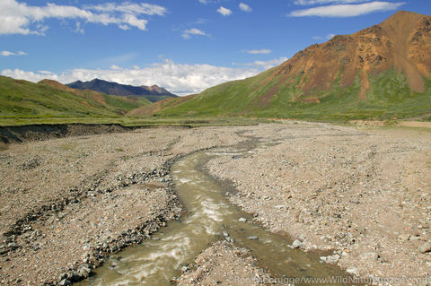 Denali National Park