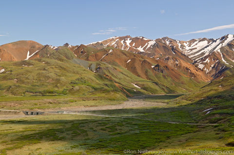 Denali National Park