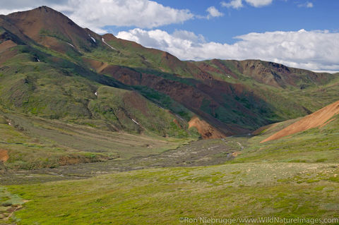 Denali National Park