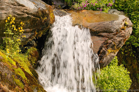 Kenai Fjords National Park