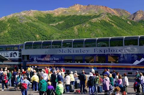 Denali National Park
