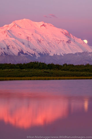 Denali National Park