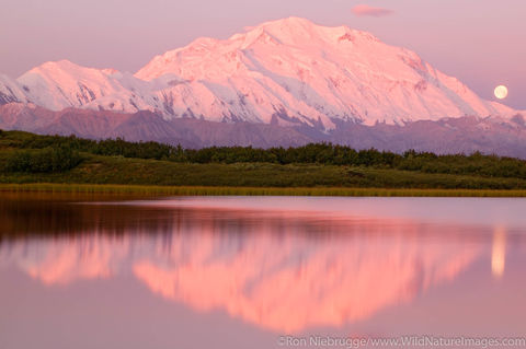Denali National Park