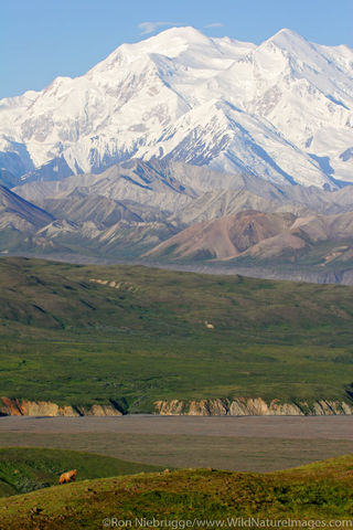 Denali National Park