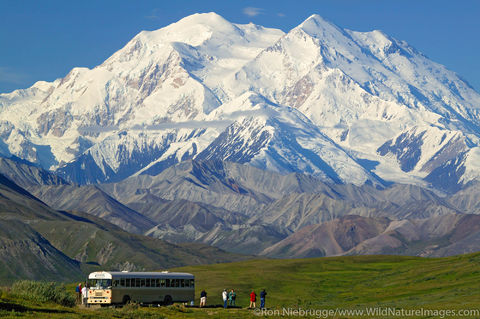 Denali National Park