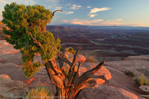 Dead Horse Point