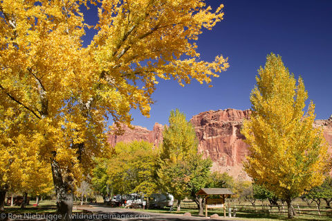 Campground in Fruita
