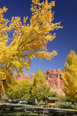 Campground in Fruita