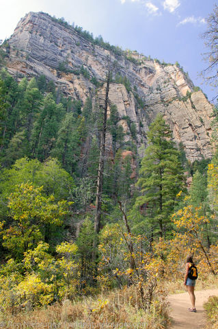 West Fork of Oak Creek trail