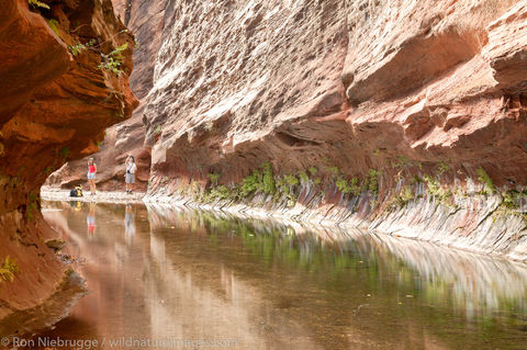 West Fork of Oak Creek trail