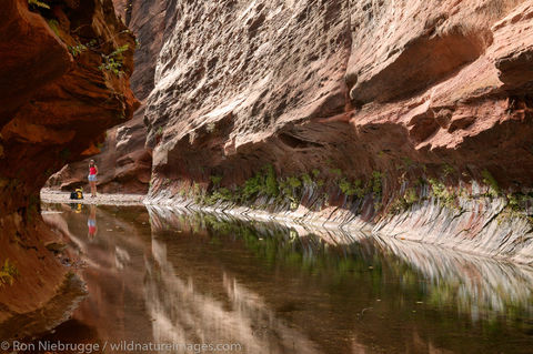 West Fork of Oak Creek trail